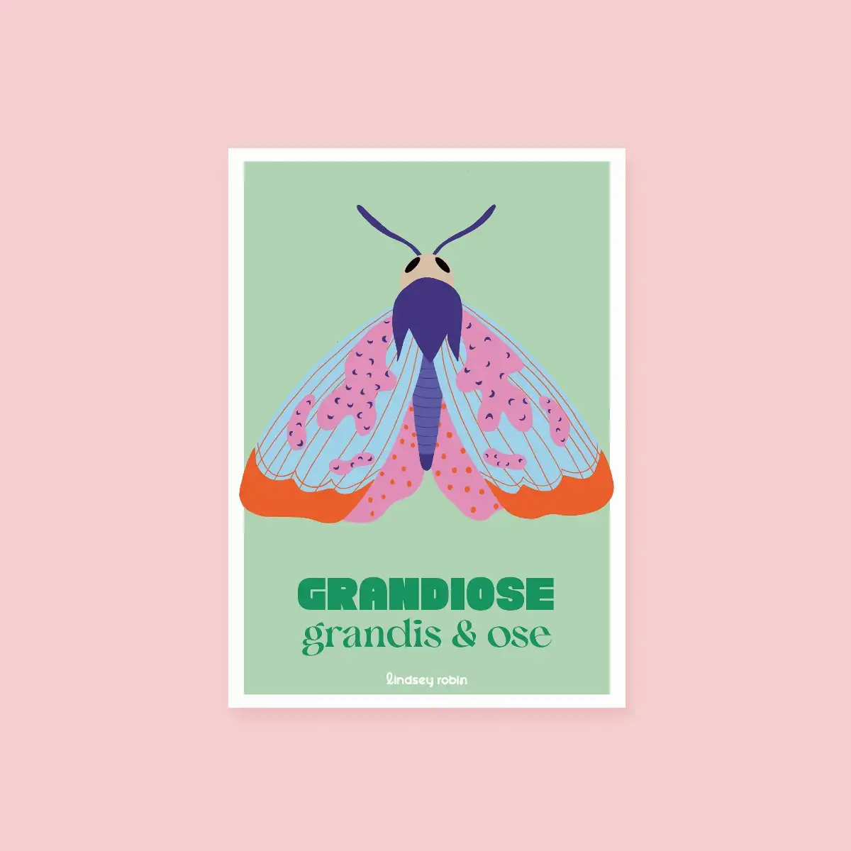 Papillon grandiose